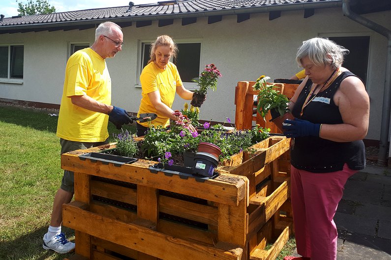 Das fertige Hochbeet wird bepflanzt