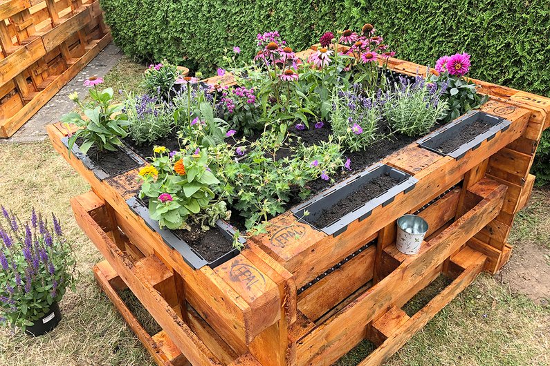 Ein fertig bepflanzetes Beet